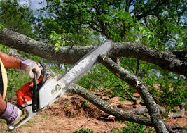 Mulching Services in Oak Park Heights, MN